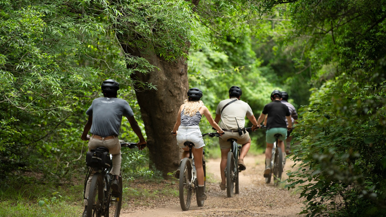 Vélo électrique demie-journée